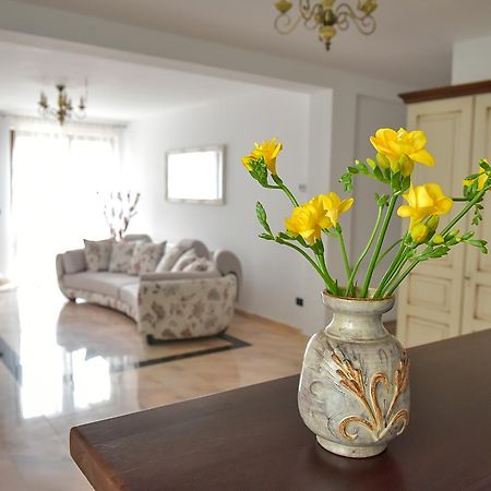San Grecu House Διαμέρισμα Făgăraş Εξωτερικό φωτογραφία